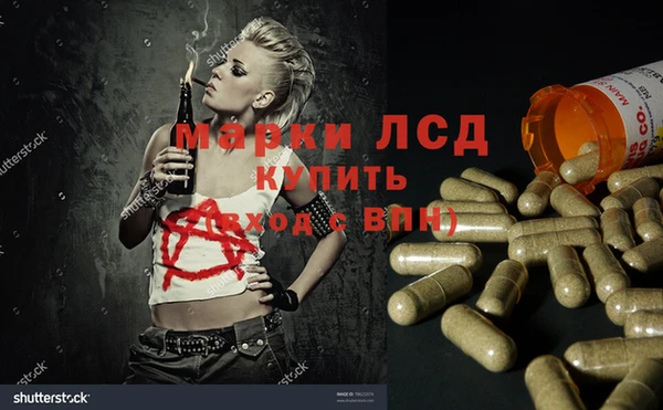 spice Новозыбков