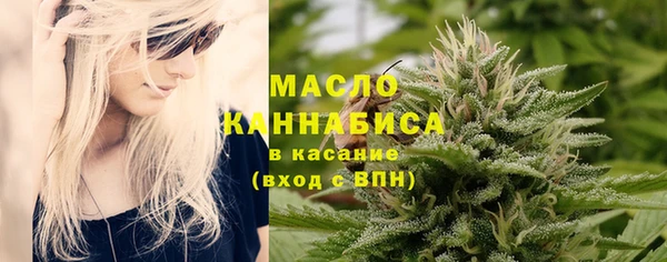 твердый Новодвинск