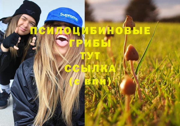 MDMA Няндома