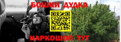 индика Жуковский