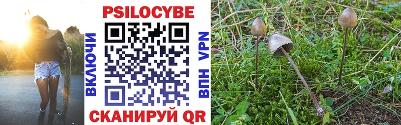 как найти закладки  блэк спрут рабочий сайт  Псилоцибиновые грибы Cubensis  Советская Гавань 