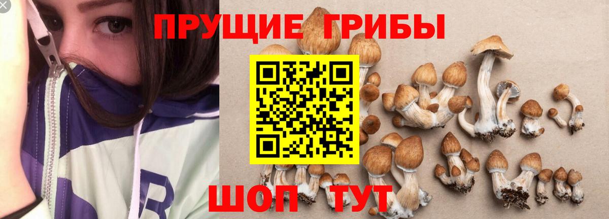 Псилоцибиновые грибы прущие грибы  Вход с VPN  Советская Гавань 